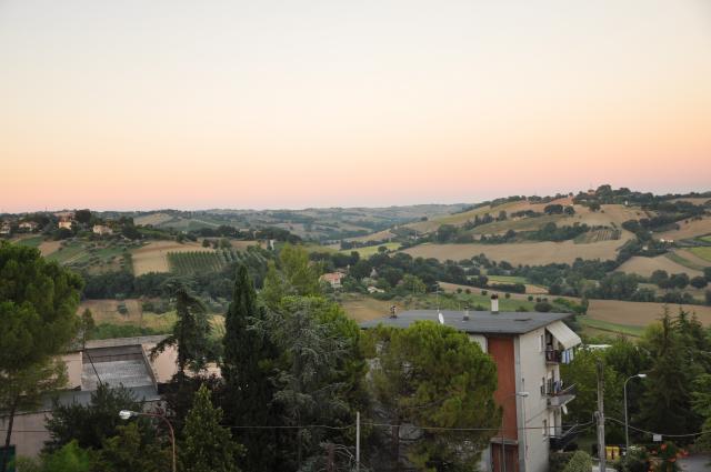 min 2010 08 01 ostra 100